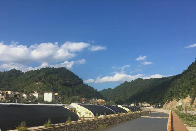 柞水县大气专项行动成效显著