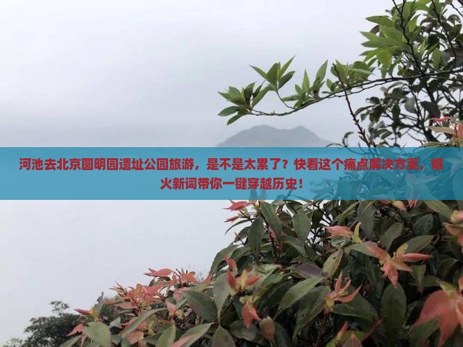 河池去北京圆明园遗址公园旅游