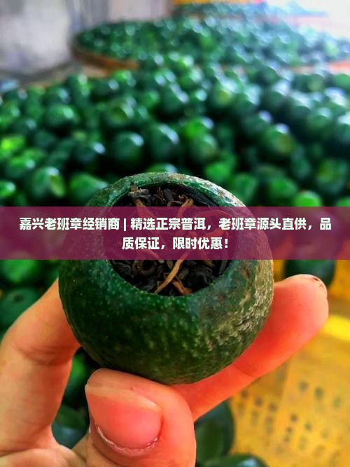 嘉兴老班章经销商
