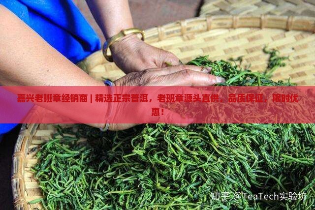 嘉兴老班章经销商