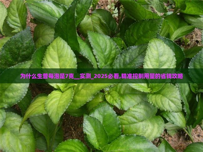 为什么生普每泡是7克