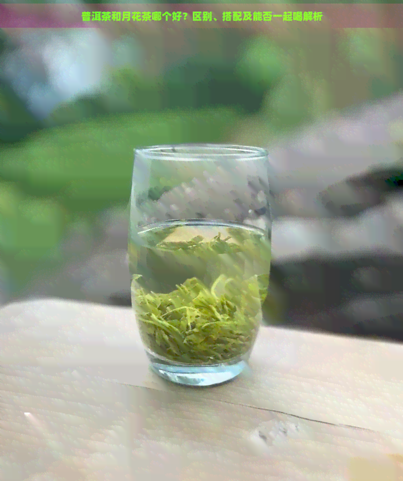 普洱茶和月花茶哪个好？区别、搭配及能否一起喝解析
